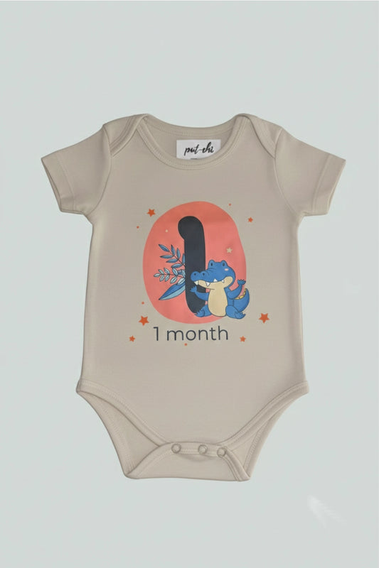 Pack of 12 - Number Parade Milestone Onesies