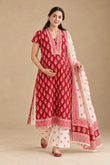 Vastra Maternity and Feeding Suit Set