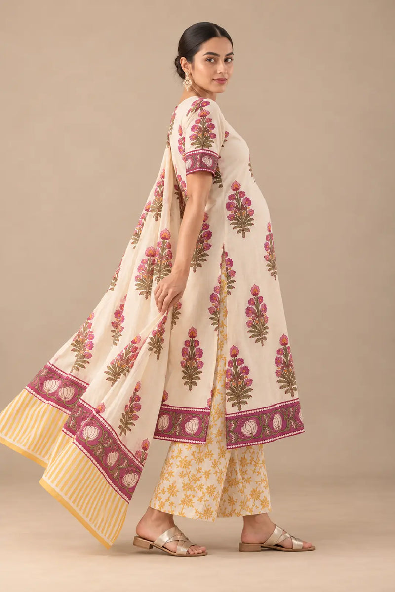 Tavishi Maternity and Feeding Suit Set