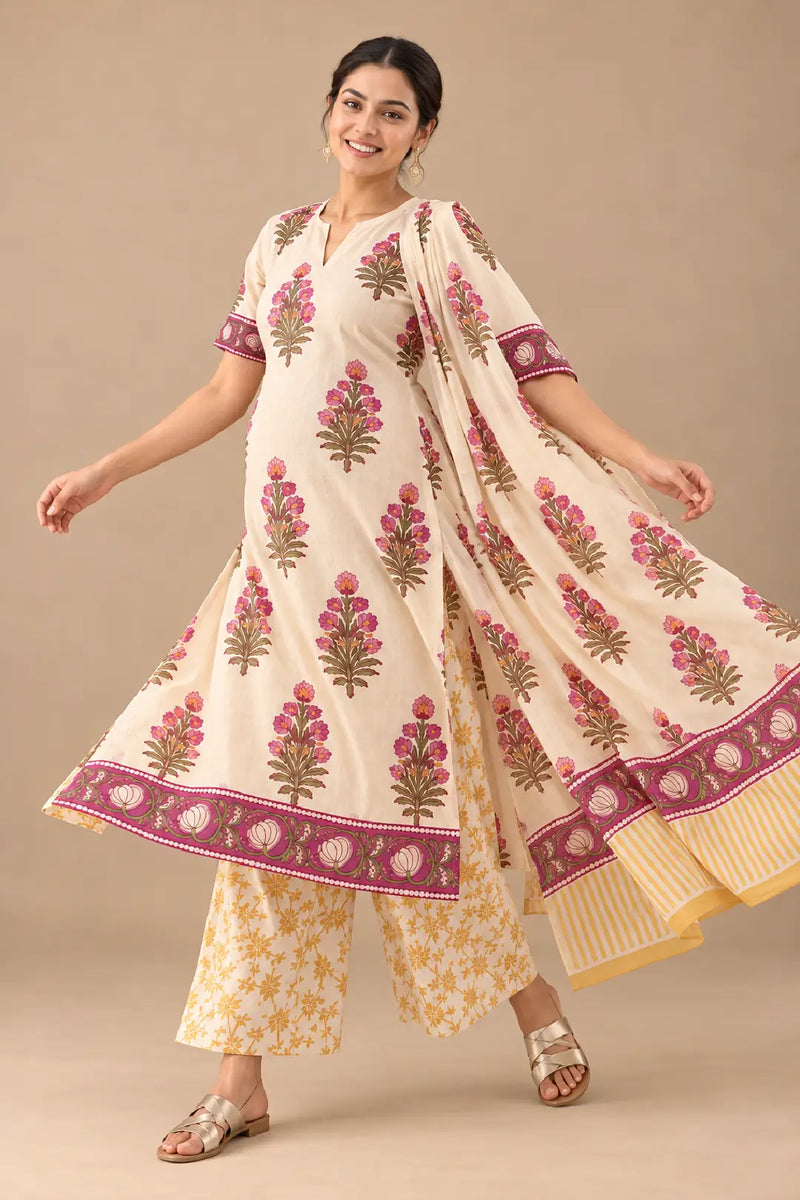 Tavishi Maternity and Feeding Suit Set