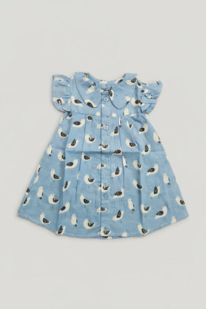 Organic cotton baby girls frock with seagull print blue dress for toddlers 6-12 months - breathable lightweight kids dress for Indian babies - summer wear dress for newborn girls