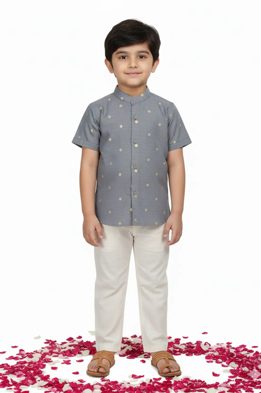 Grey Silk shirt & Pant Set