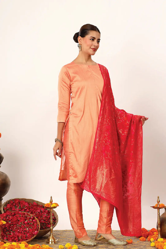 Rohini Feeding Suit Set