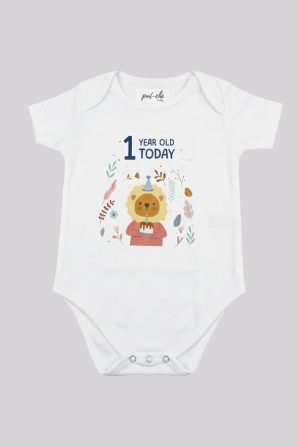1 Year Milestone Onesies