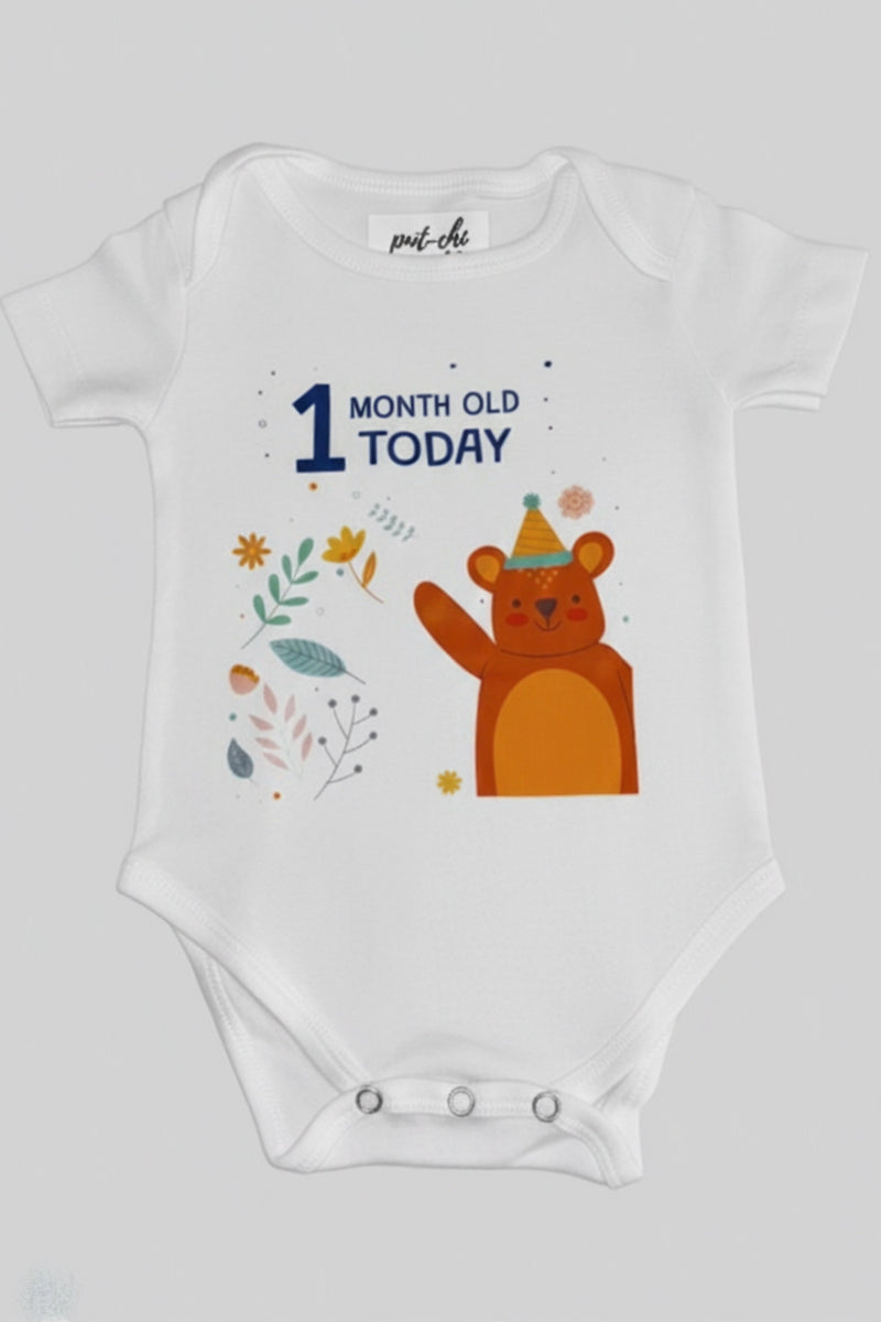 1 month  Milestone Onesies