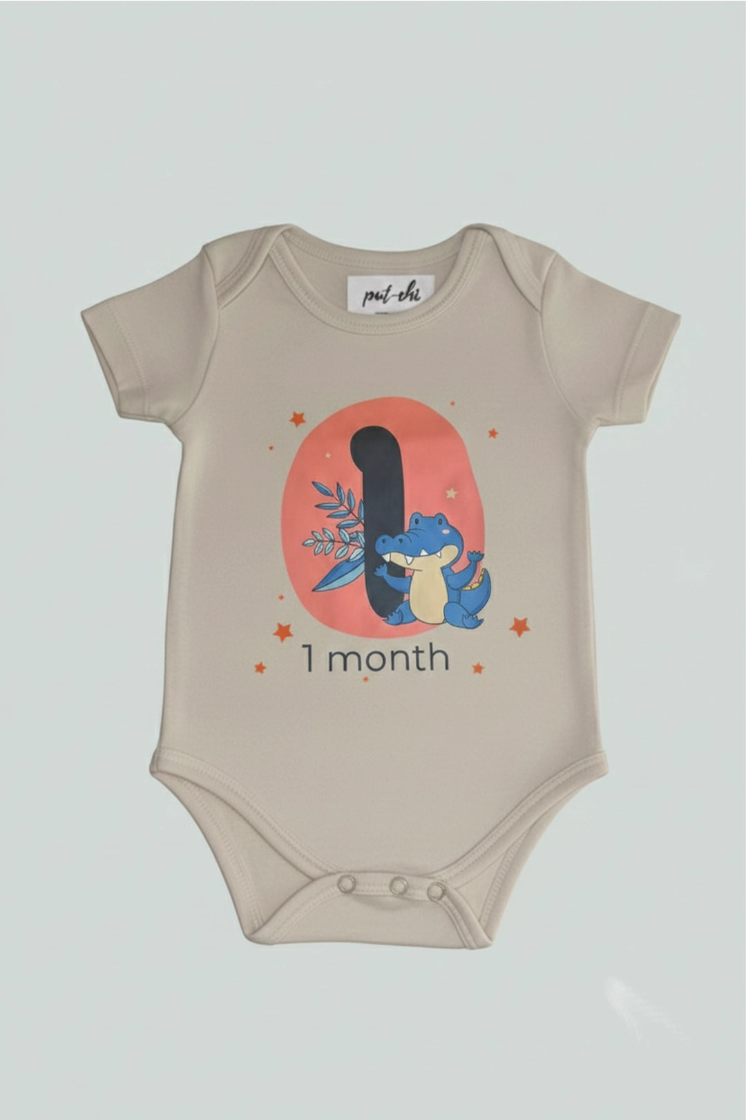 1 month  Milestone Onesies