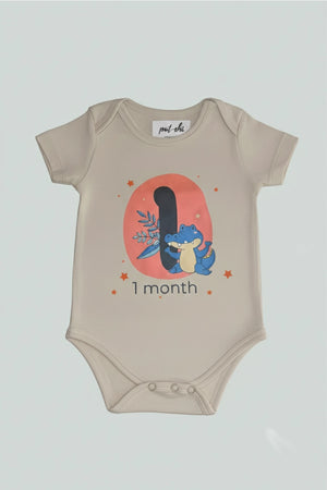 Pack of 12 - Number Parade Milestone Onesies