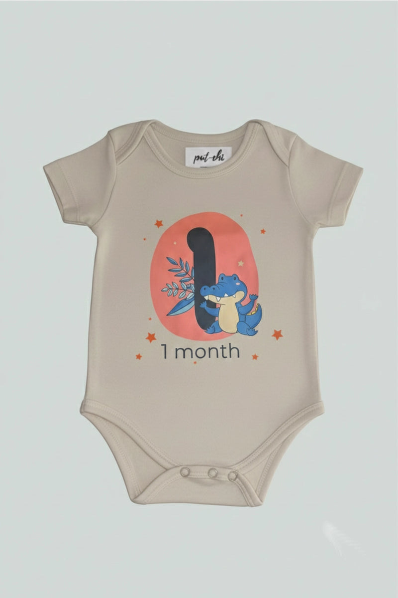 1 month  Milestone Onesies