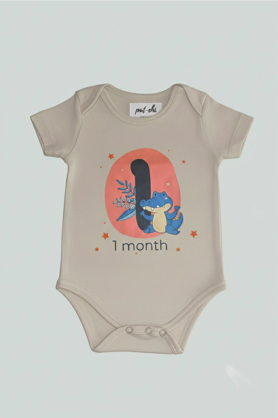 1 month  Milestone Onesies