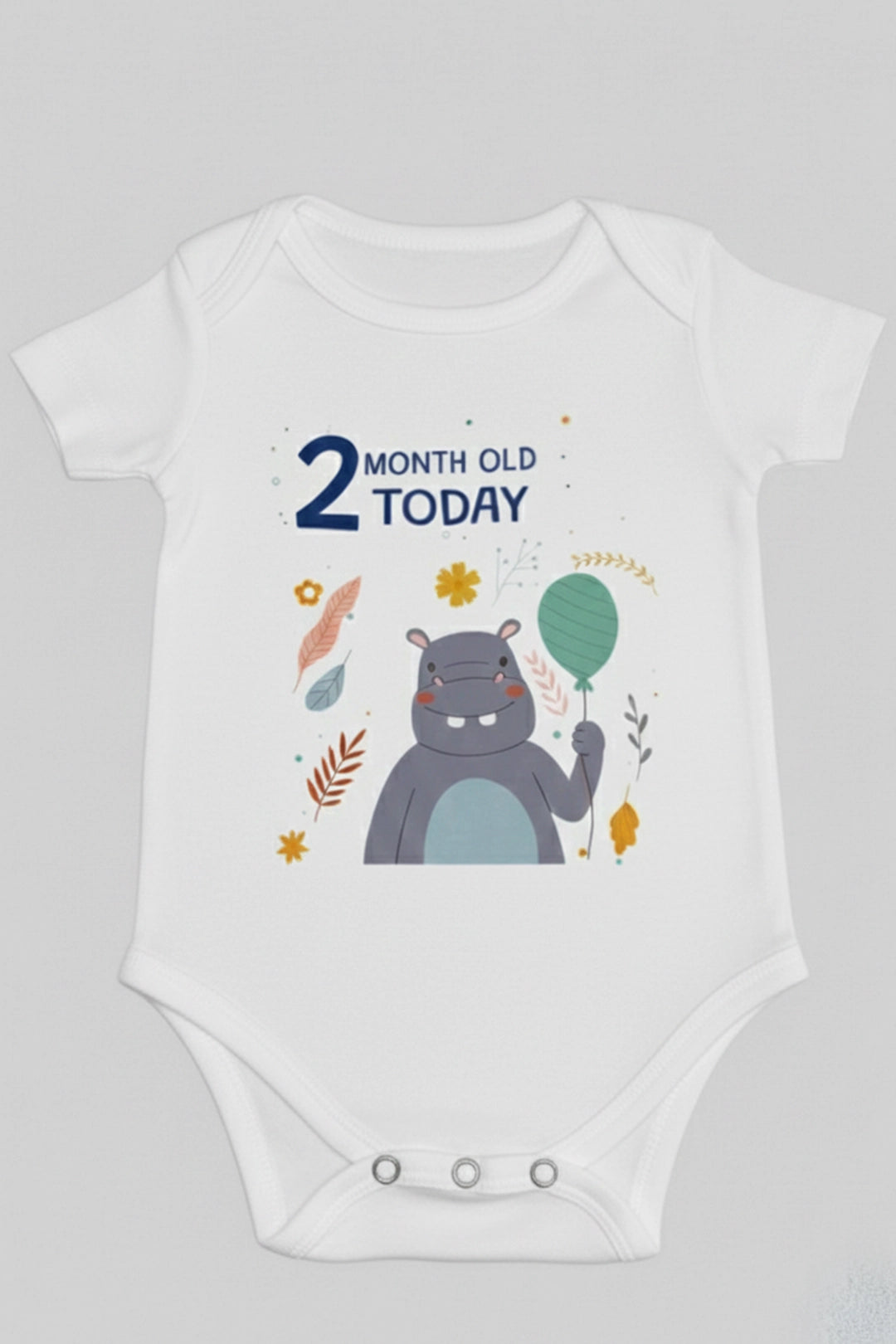 2 month  Milestone Onesies