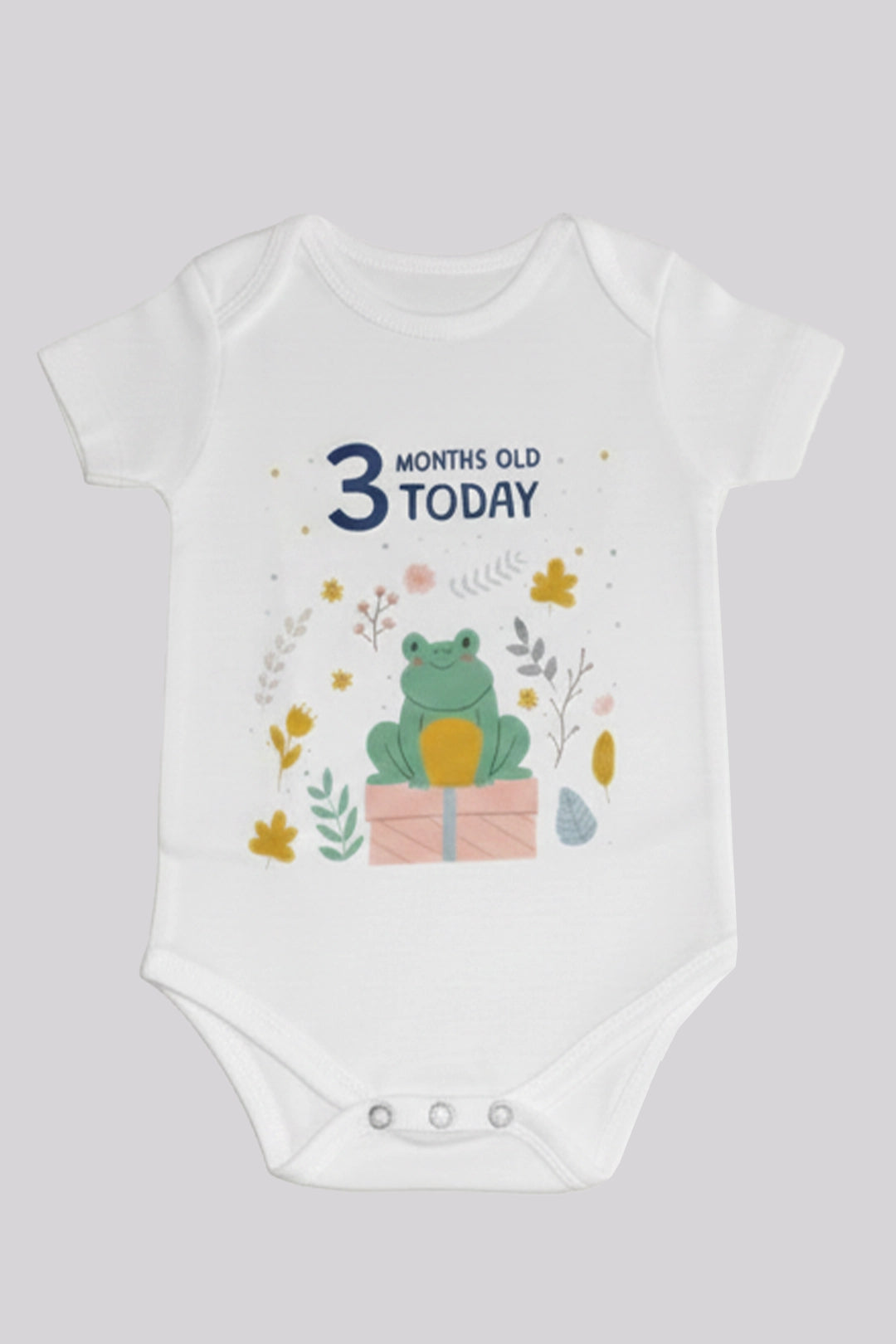 3 month  Milestone Onesies