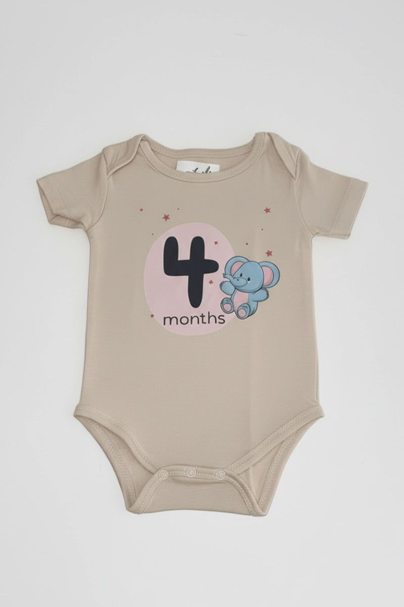 4 month  Milestone Onesies