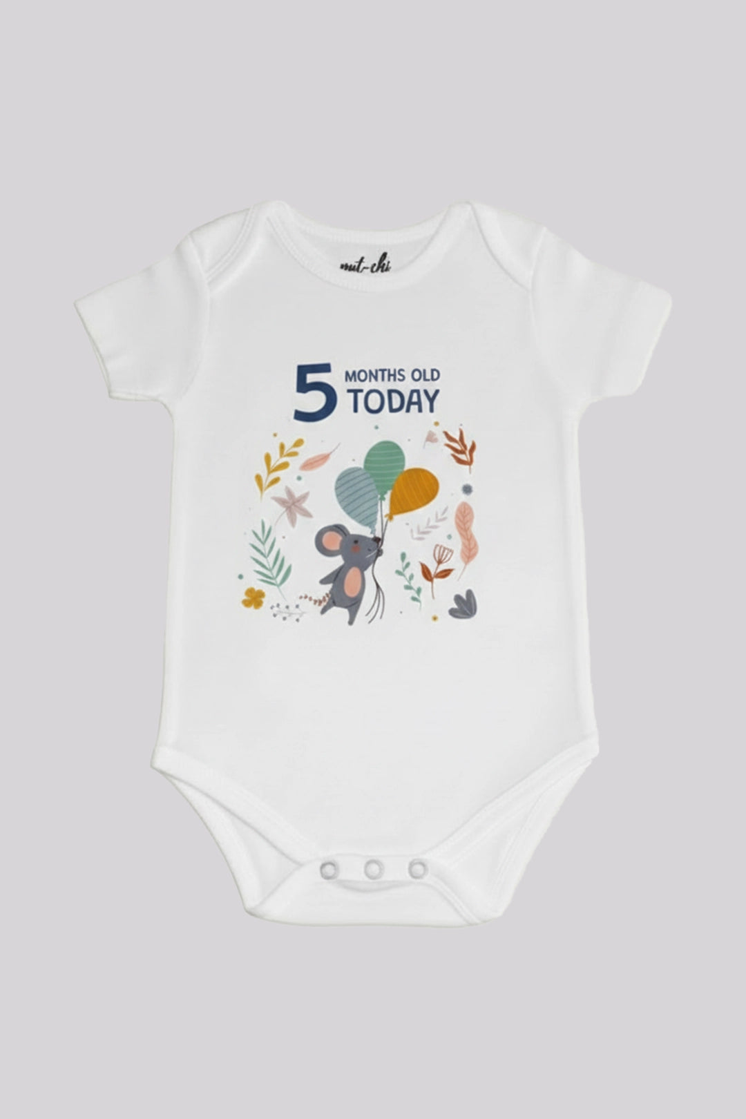 5 month  Milestone Onesies