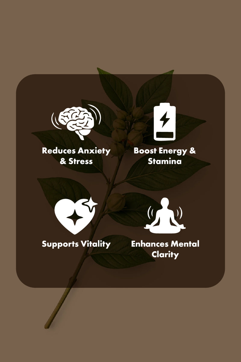 Ashwagandha Capsules