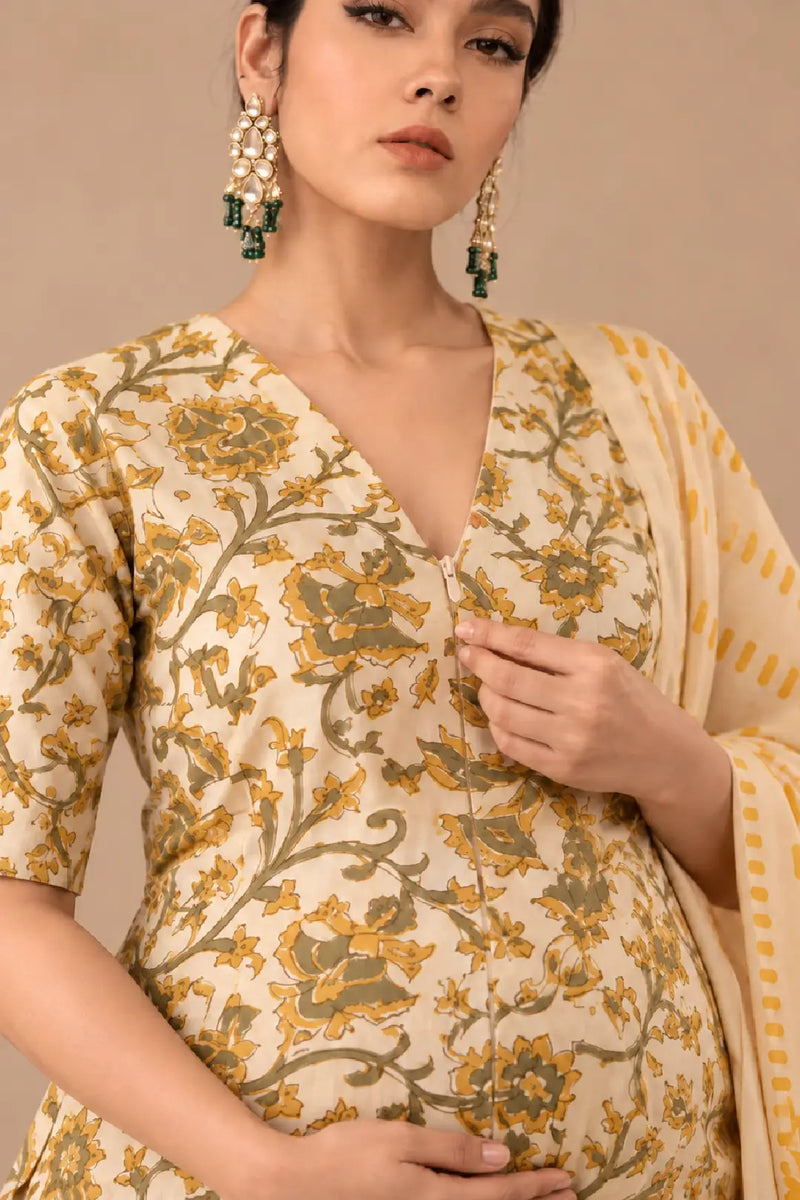 Hunar Maternity and Feeding Suit Set