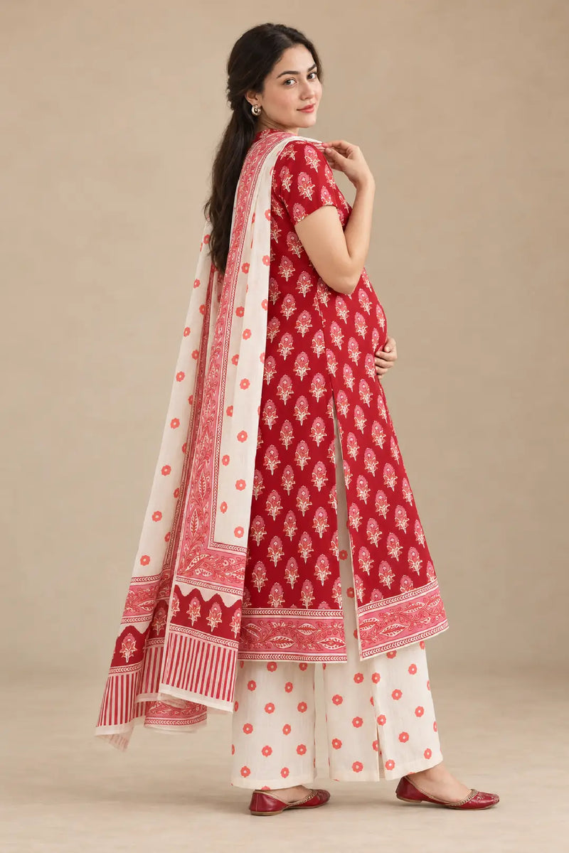 Vastra Maternity and Feeding Suit Set