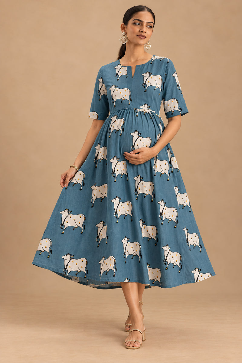 Vrishti Maternity and Feeding Dress