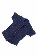 Royal Silk shirt & Pant Set