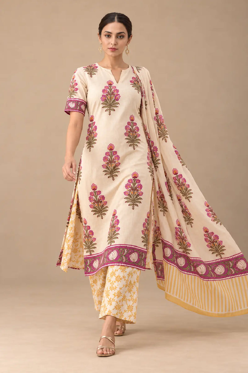 Tavishi Maternity and Feeding Suit Set