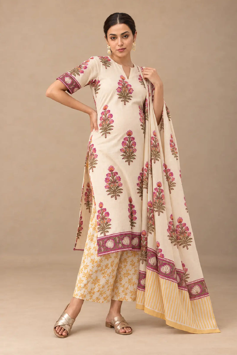 Tavishi Maternity and Feeding Suit Set