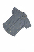 Grey Silk shirt & Pant Set