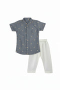 Grey Silk shirt & Pant Set