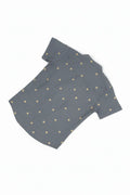 Grey Silk shirt & Pant Set