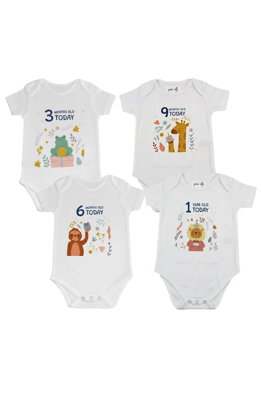 Quarterly Milestone Baby Rompers – Pack of 4 (3M, 6M, 9M & 1Y)