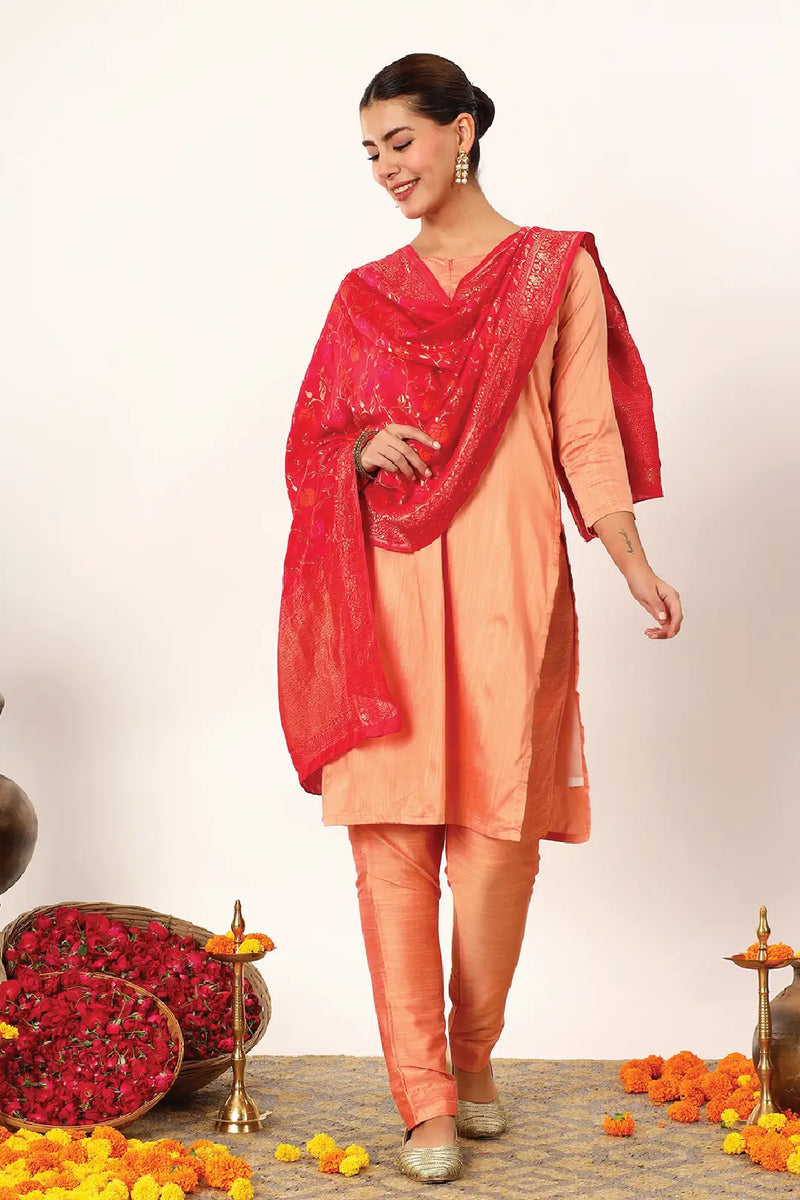 Rohini Feeding Suit Set