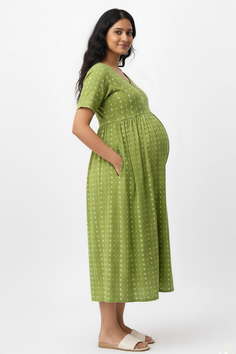 Vanika Feeding Dress