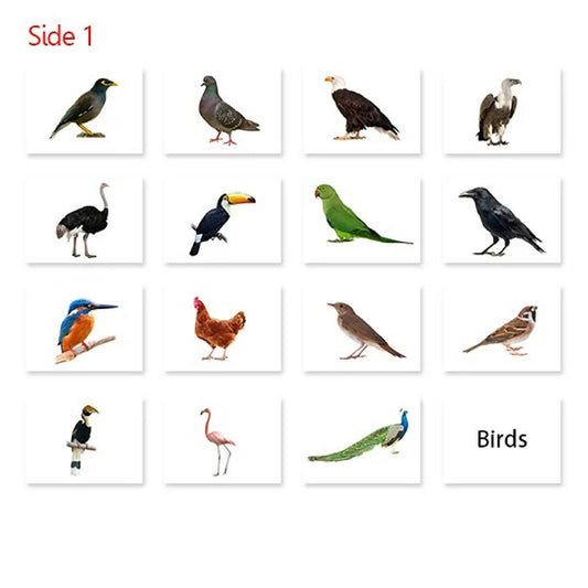 Birds Flash Cards - 16 Cards