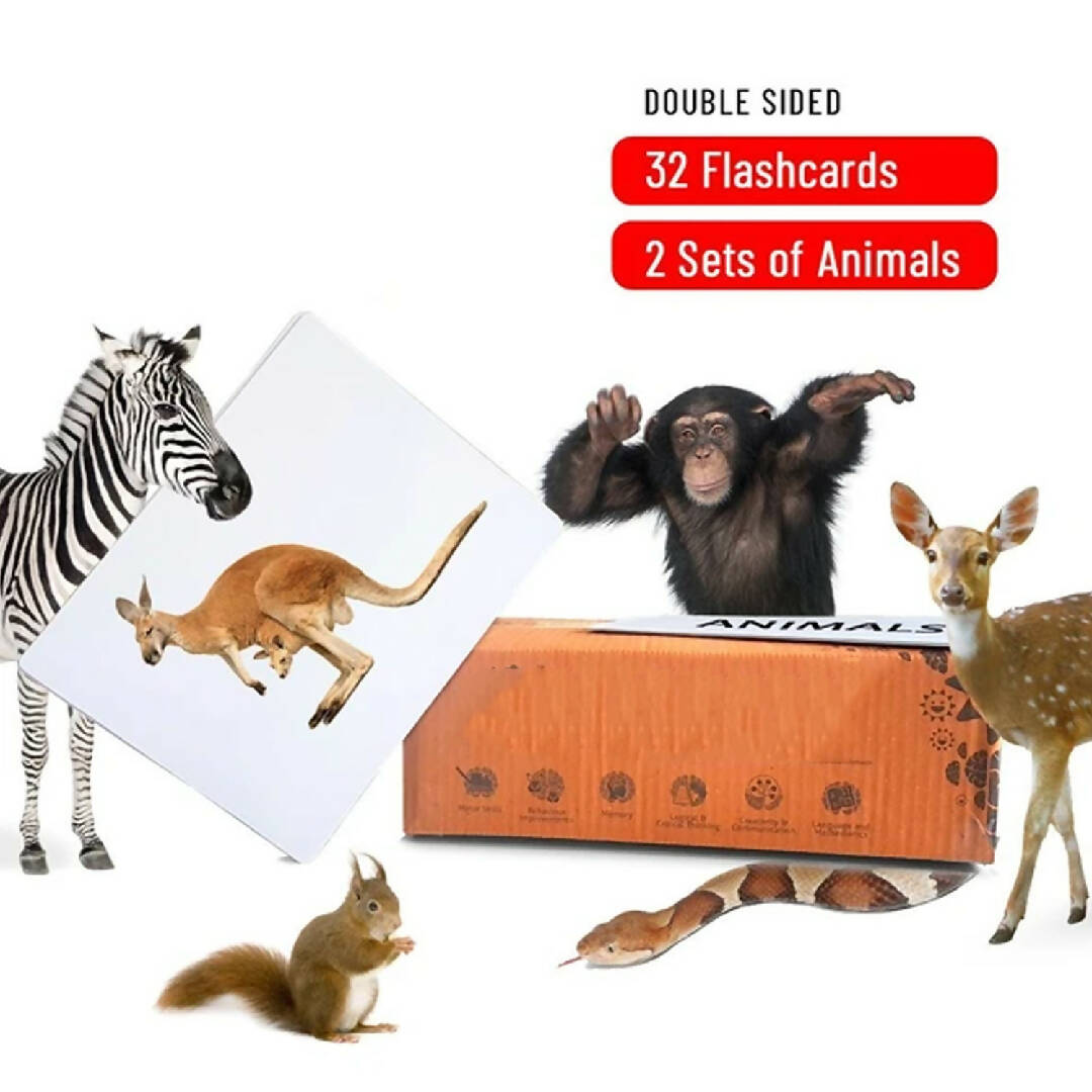 Different Animals - Baby Flash Cards - 32 Cards - 2 Sets