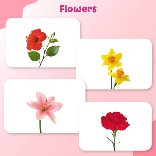 Flowers Flash Cards for Infants and Babies for Early Learning and Stimulation