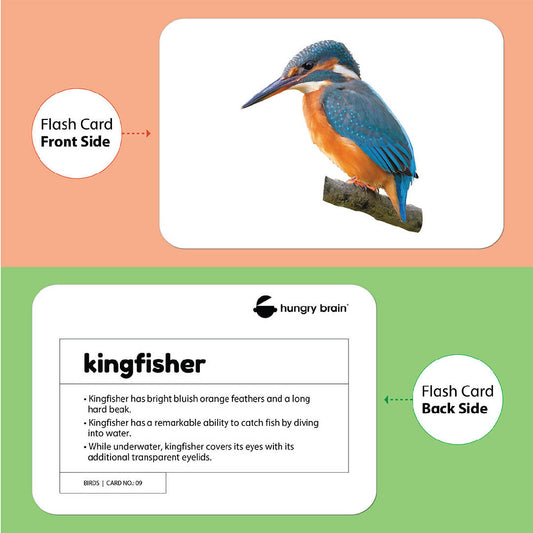 Birds Flash Cards for Infants and Babies for Early Learning and Stimulation