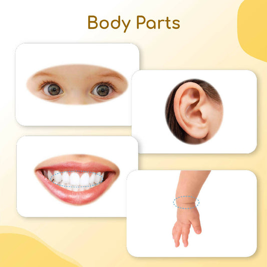 Body Parts Flash Cards for Babies and Infants for Early Learning and Stimulation