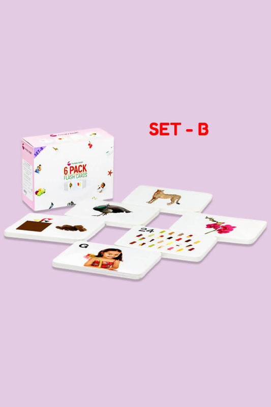 Combo 144 Flash Cards for Baby / Kids - Pack of 6B